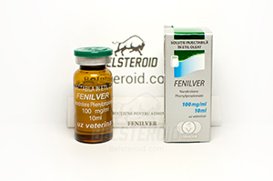 Купить Fenilver (100mg/ml) Vermodje SRL (Молдова), цена препарата, отзывы о Фенилвер, инструкция по применению
