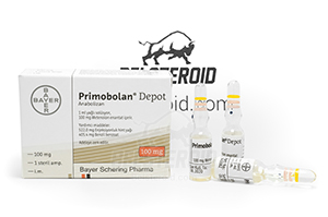 Купить Primobolan Depot 1ml (100mg) от Bayer Schering (Турция) – отзывы, цена и описание стероида