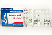 Testosterone Enanthate (Enandrol) Balkan (1ml)