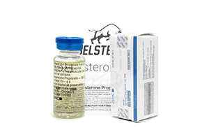 Купить Testosterone Propionate U.S.P. – реальные отзывы и выгодная цена препарата на BelSteroid.com
